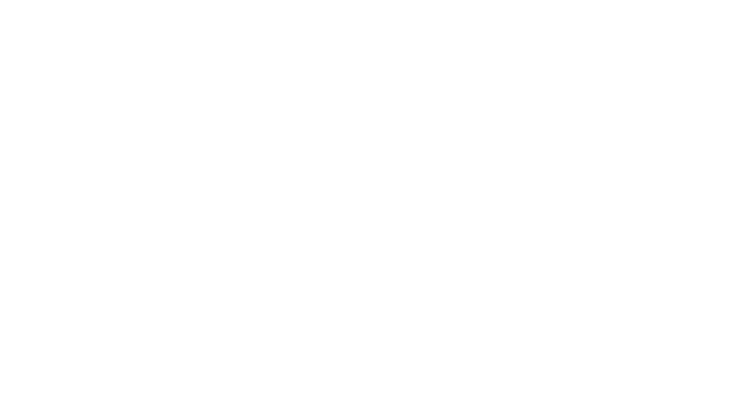 Guedes Marques de Pina